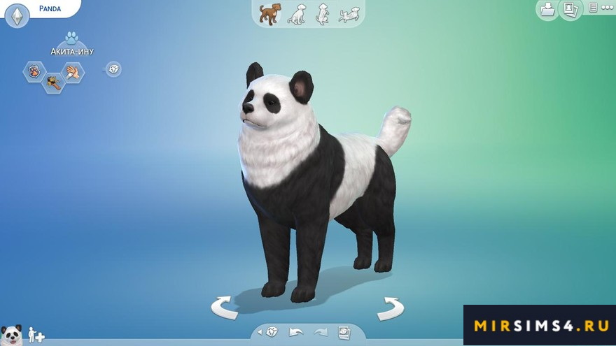 Панда Akita
